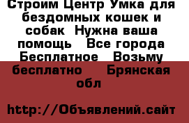 Строим Центр Умка для бездомных кошек и собак! Нужна ваша помощь - Все города Бесплатное » Возьму бесплатно   . Брянская обл.